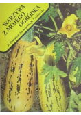 Warzywa z mojego ogródka