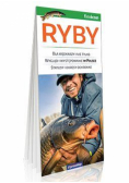 Ryby