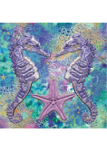 Karnet kwadrat z kopertą DNA Seahorses