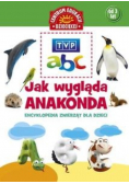 Jak wygląda anakonda Encyklopedia zwierząt dla dzieci