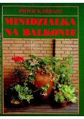 Minidziałka na balkonie