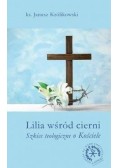 Lilia wśród cierni wyd. 2017