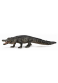 Aligator