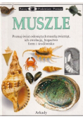 Patrzę Podziwiam Poznaję Muszle