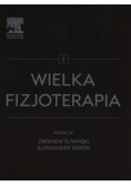Wielka fizjoterapia Tom 3