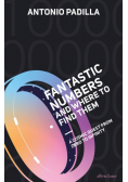 Fantastic Numbers and Where to Find Them