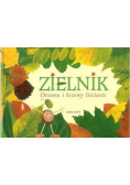 Zielnik  Drzewa i krzewy liściaste