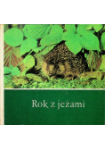 Rok z jeżami