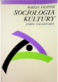 Socjologia kultury