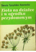 Zioła na działce i w ogródku przydomowym