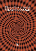 Główne problemy współczesnej fenomenologii