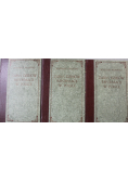 Zarys dziejów reformacji w Polsce tom 1 do 3 reprinty z ok 1905 r