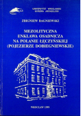 Mezolityczna enklawa osadnicza na Polanie Łęczyńskiej