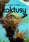 Rośliny w domu kaktusy