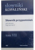 Słownik przypomnień Tom VII