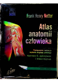 Atlas anatomii człowieka