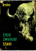 Życie zwierząt Ssaki