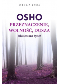 Przeznaczenie  wolność dusza