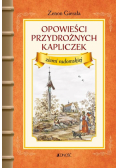 Opowieści przydrożnych kapliczek ziemi radomskiej