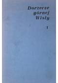 Dorzecze górnej Wisły