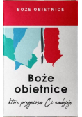 Pudełko - Boże obietnice - przyniosą Ci nadzieję