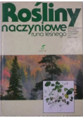 Rośliny naczyniowe runa leśnego