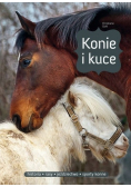 Konie i kuce