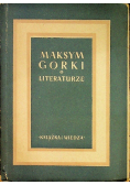 O literaturze
