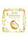 Boże obietnice Pamiątka Chrztu Świętego