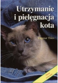 Utrzymanie i pielęgnacja kota