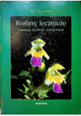 Rośliny lecznicze