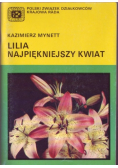 Lilia najpiękniejszy kwiat