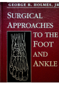 Surgical Approaches To the foot and ankle