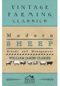 Modern Sheep - Breeds And Management