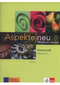 Aspekte Neu Grammatik B1 plus bis C1
