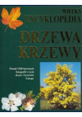 Wielka encyklopedia drzewa i krzewy