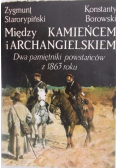 Między Kamieńcem i Archangielskiem