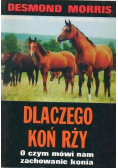 Dlaczego koń rży