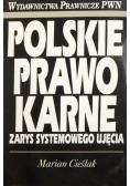 Polskie prawo karne