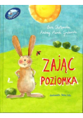 Zając Poziomka