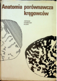 Anatomia porównawcza kręgowców