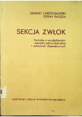 Sekcja zwłok