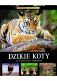 Dzikie koty
