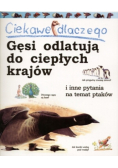 Ciekawe dlaczego gęsi odlatują