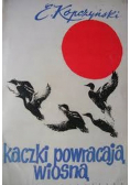 Kaczki powracają wiosną