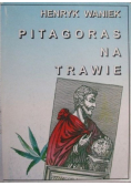 Pitagoras na trawie