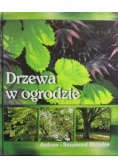 Drzewa w ogrodzie