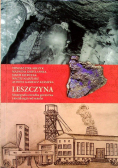 Leszczyna monografia ośrodka górnictwa i metalurgii rud miedzi