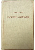 Kaptische grammatik