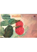 Atlas malin